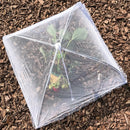 Tela Protetora Dobrável para Alimentos – Tenda Guarda-Comida 43cm (3/6/12 Unidades)